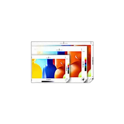 Epson 17x100 Standard Proofing Adhesive Paper Roll