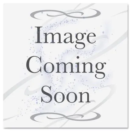 Epson 17x100 Crystal Clear Film Adhesive - Roll