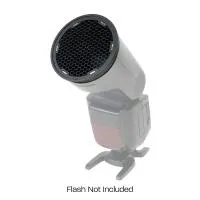 Expo Imaging Rogue Flash Grid 45 2