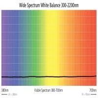 ExpoImaging ExpoDisc 3.0 77mm White Balance Filter 5