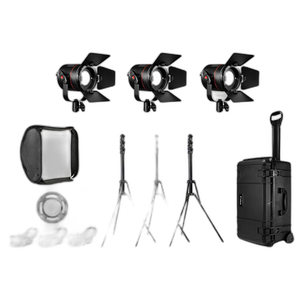 Fiilex K301 lighting kit case and accessories