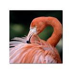 Fujifilm Vivid Canvas Semi-Gloss Inkjet Paper 350 - 44in.x40ft.