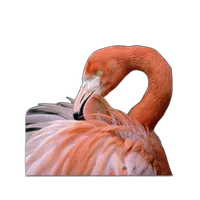 Fujifilm Vivid Canvas Semi-Gloss Inkjet Paper 350 - 44in.x40ft. 0