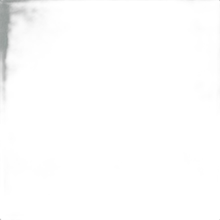 Flotone 31x43in Studio Gray Graduated Background