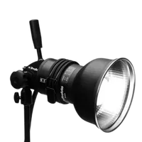 Profoto ProHead Plus UV 500W with Zoom Reflector