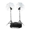 Profoto D1 Studio Kit 500/500 Air w/o Air Remote
