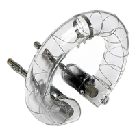 Profoto Flashtube D1 500/1000 0