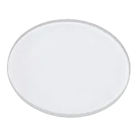 Profoto Glass Plate Frosted for B1/B1X/D1/D2 0