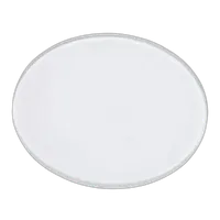 Profoto Glass Plate Clear for B1/B1X/D1/D2 0