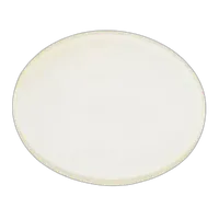 Profoto Glass Plate Frosted UV -600K for B1/B1X/D1/D2 0