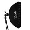 Profoto RFI SOFTGRID 1x3 ft 50 Degree
