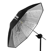 Profoto Umbrella Shallow Silver S (33in, Small) 0