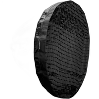 Profoto Soft Zoom Grid 120 (4ft, 50 Degrees) 0