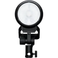 Profoto Pro-D3 1250 4