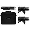 Profoto - D2 Duo Kit 1000/1000