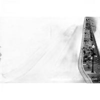 Film Photography Project FPP Wolfman 35mm Black and White Film ISO 100 24exp 1