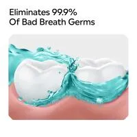 Listerine CoolMint Mouthwash Impoerted 250ml/8.3oz 2