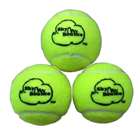 Tennis Balls Bag of 12 Yellow Tennis Balls (Sky Bounce Brand) 0