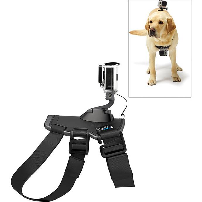Gopro fetch best sale mount