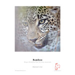Hahnemuehle 13 x 19 In. Bamboo 290 gsm. (25)