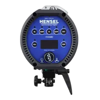 Hensel Expert D 1000 Monolight 2