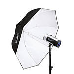 Hensel Diffuser for Master PXL Umbrella