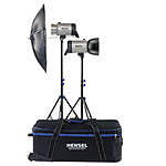 Hensel Integra 500 2 Light Kit with Stands