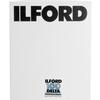 Ilford Delta-100 Professional 4x5 25 Sheets B and W Print (Negative) Film