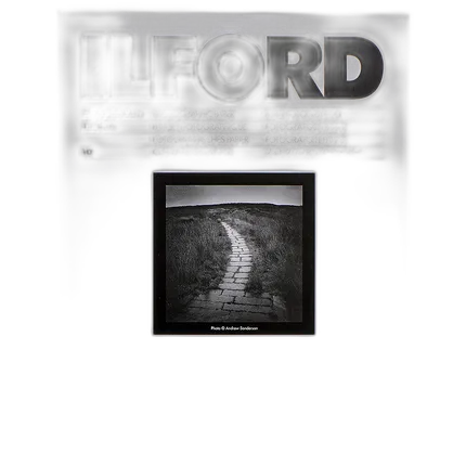 Ilford Multigrade FB Classic Paper (Glossy, 11x14, 10 Sheets)
