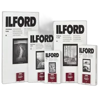 Ilford Multigrade V RC Portfolio Paper (Pearl, 11 x 14in, 10 Sheets) 1