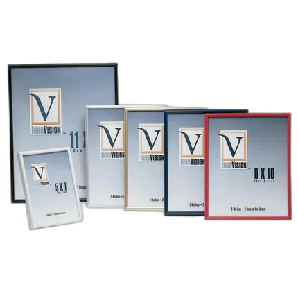 Innovision 16X20 Gold Format Frame