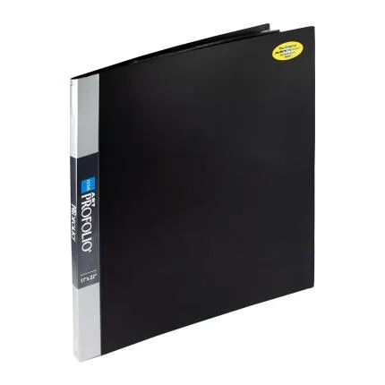 Itoya ProFolio 17x22 inch - photo size