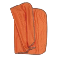 Kinetronics Soft Microfiber Anti-Static Cloth - 10 Inch x 18 Inch (250x450) 0