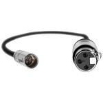 Kondor Blue Mini XLR to XLR for Blackmagic Pocket 4K/6K Camera (16 Inch)