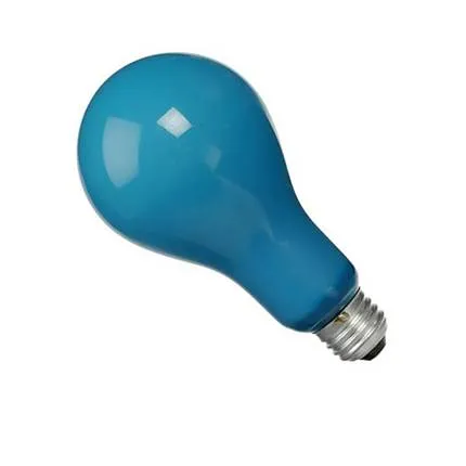 Eiko EBW Photoflood Bulb 115V 500W 4800K