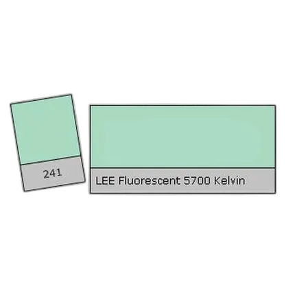 LEE Filters Fluorescent 5700k Lighting Correction Gel Filter