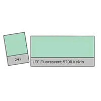 LEE Filters Fluorescent 5700k Lighting Correction Gel Filter 0