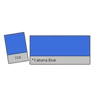 LEE Filters Cabana Blue Lighting Effects Gel Filter 0