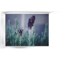 Lomo Instant Automat Sundae Kids Edition Combo 3
