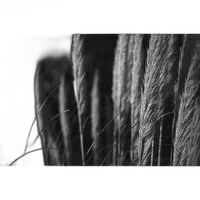 Lomography Black and White ISO 13 35mm Babylon Kino Film 5