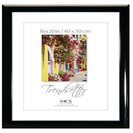 MCS Format 16x20in Wall Frame (Black)