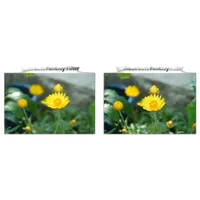 Marumi 55mm DHG Soft Fantasy Filter 1