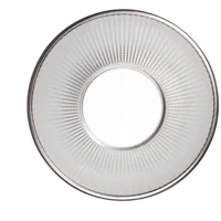 NanLite Forza 300/500 55 Degree Reflector with Bowens Style Mount 1