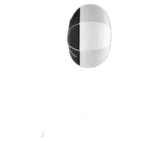 Nanlite Lantern 80 Softbox - 31in 4