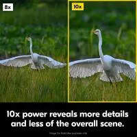 Nikon 10x42 Action Binoculars 4