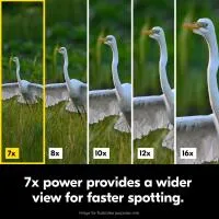 Nikon 7x50 Action Binoculars 4