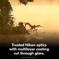Nikon 12x50 Action Binoculars 5