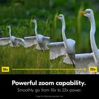 Nikon 10-22x50 Action Binoculars 2