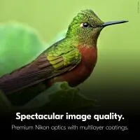 Nikon 12X50 Monarch M5 Binoculars 5