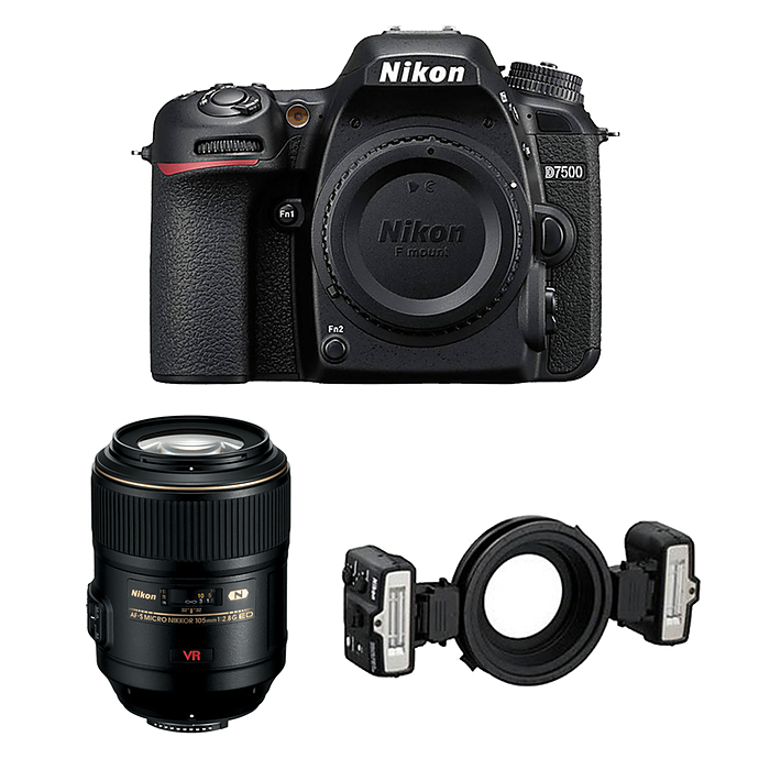 Nikon D7500 Digital SLR Camera